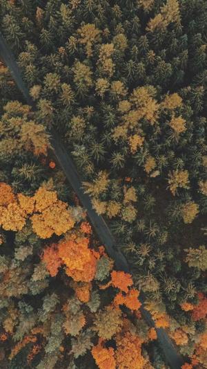 瓜不能和什么一起吃截图1