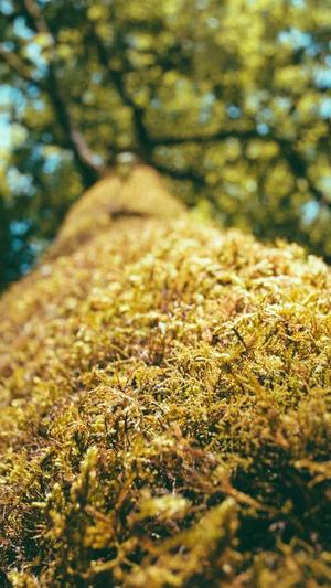 黑料正能量网站没了截图2