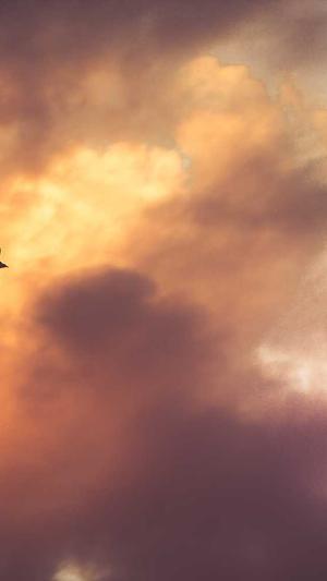 飞轮海成员辰亦儒吃瓜截图3