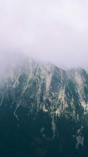 哈密瓜可以蒸着吃吗截图1