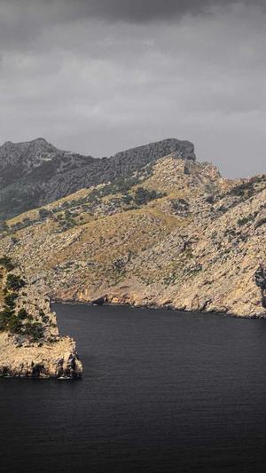 佛手瓜咋吃截图3