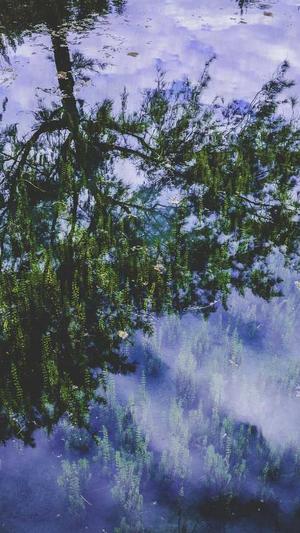 哈密瓜不能和什么一起吃截图2