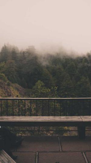 黑料不打烊zztt09截图1