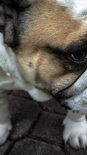 黑料社区下载截图4