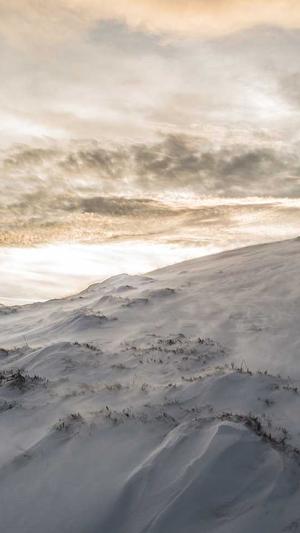 吃瓜群众的来源截图5