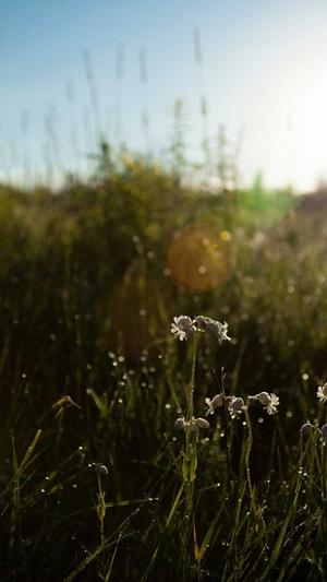 3分25秒py黑料不打烊截图1