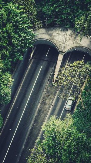 吃佛手瓜的好处截图3