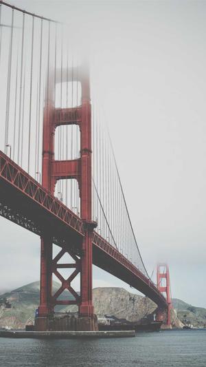 从1960年开始的吃瓜日常截图4