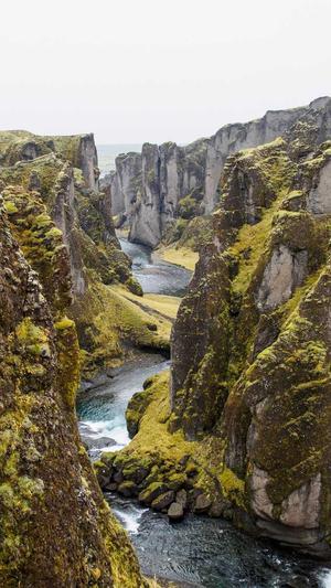 豆瓣自由吃瓜基地申请截图2