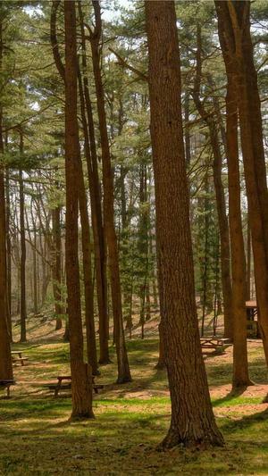 张娜英黑料截图2