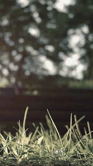 51吃瓜在线吃瓜截图3