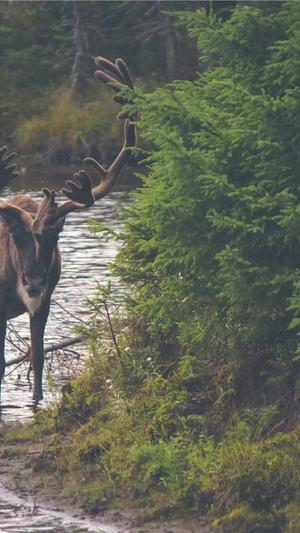 黑料不打烊so截图5