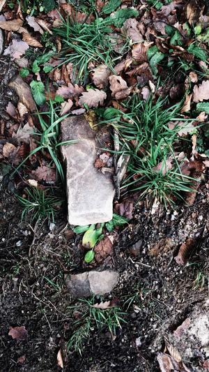 51fun吃瓜网截图2