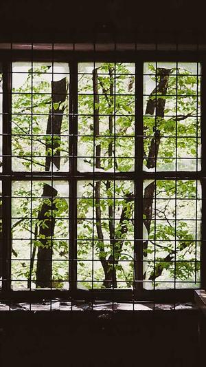 豆瓣自由吃瓜基地申请截图4