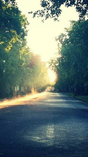 黑料正能量导航so入口截图3