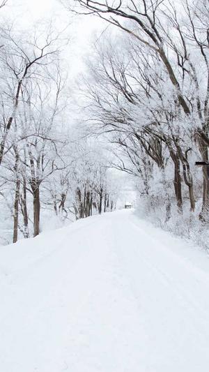 吃哈密瓜过敏的红疹图截图2