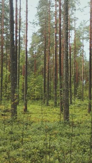 宝宝吃哈密瓜好吗截图3