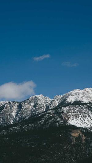 啄木鸟全程吃瓜截图1