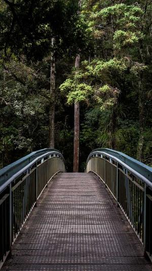 17cgcg吃瓜官网黑料爆料截图2