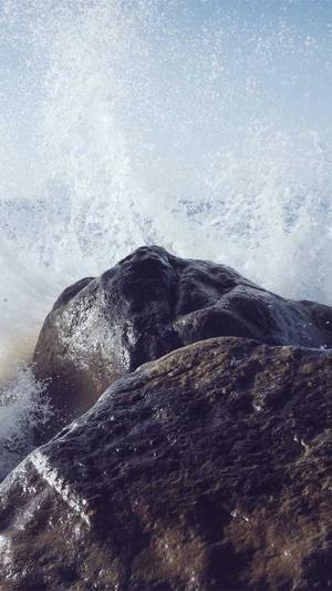 黑料网怎么看截图3