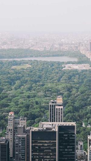 宝宝吃哈密瓜好吗截图2