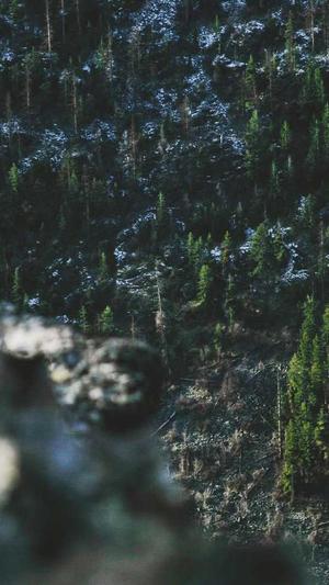 孕期可以吃哈密瓜么截图2