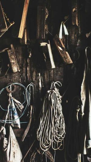 zztt14黑料不打烊截图3