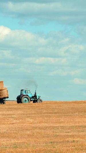 吃瓜网免费吃瓜截图2