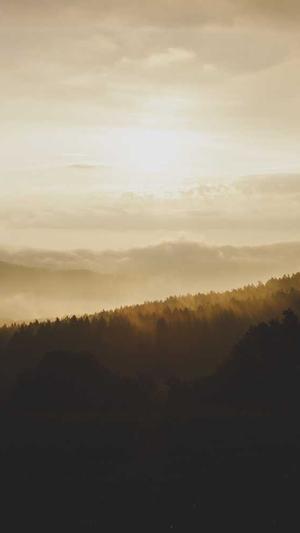 黑料不打烊tttzzz首页截图1