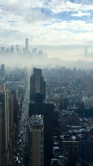 角瓜和黄瓜能一起吃吗截图3