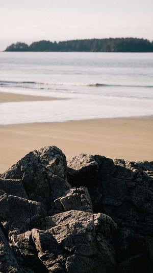 八瓜鱼吃货截图2