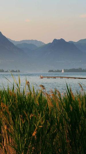 奥咪咪黑料截图2