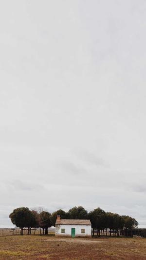 吃瓜群众什么梗截图1