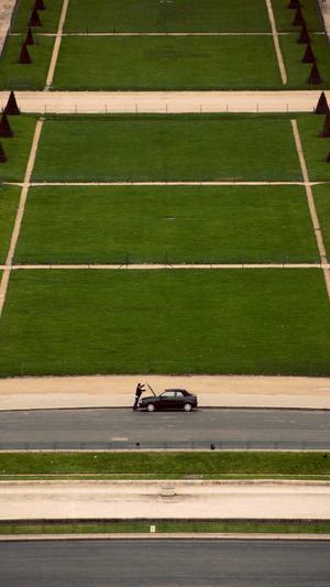 柯基可以吃哈密瓜吗截图3