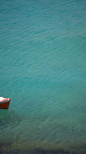 张娜英黑料截图3