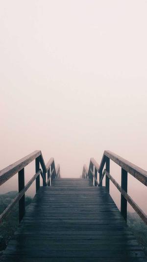 吃籽瓜会发胖吗截图4