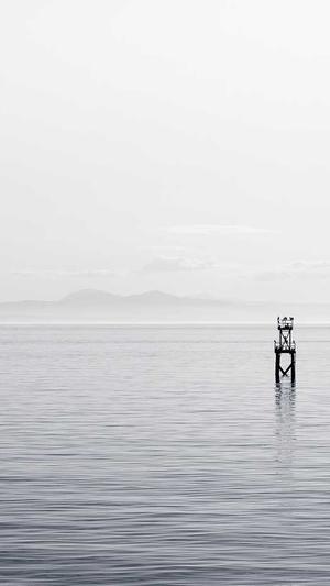 李知恩iu有黑料吗截图3