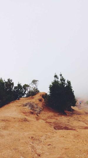 zztt71.ccm黑料不打烊截图3