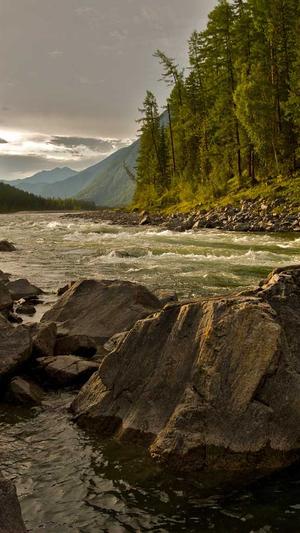 白敬亭黑料截图1